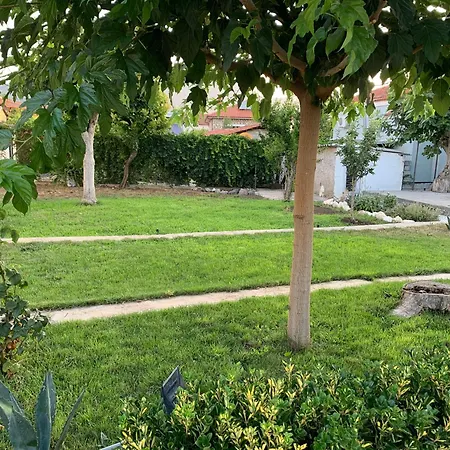 Orfanihouse Orfanion