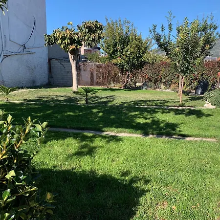 Orfanihouse
